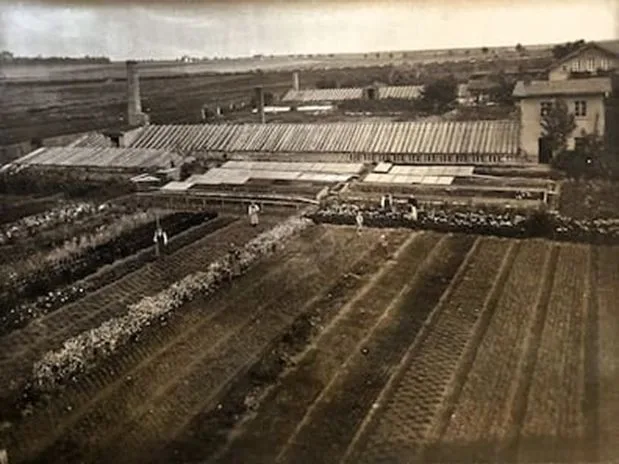 Historische Aufnahme der Gärtnerei, gegründet 1884